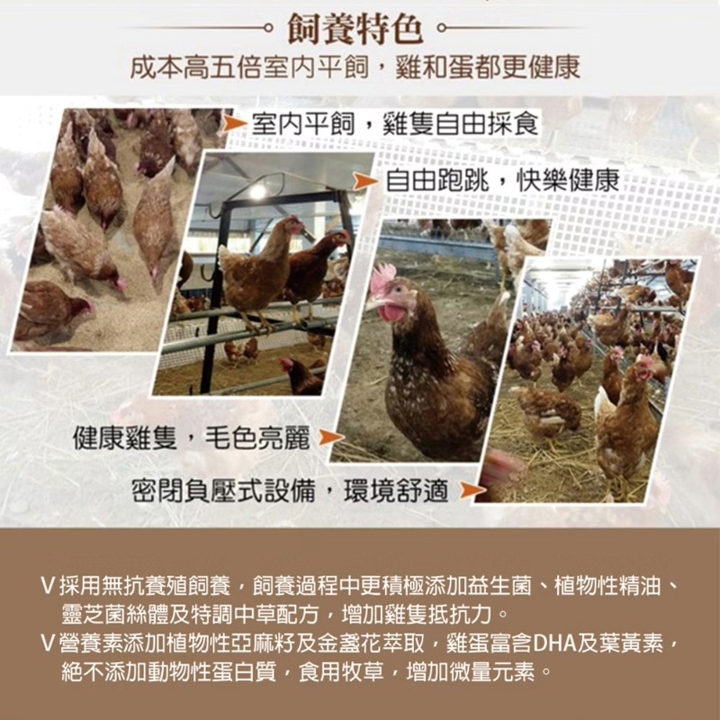 【寶奇】動物福利雙機能蛋＊4盒(10入/盒),U61410001,【寶奇】動物福利雙機能蛋＊4盒(10入/盒),含DHA,以微生物替代抗生素,葉黃素