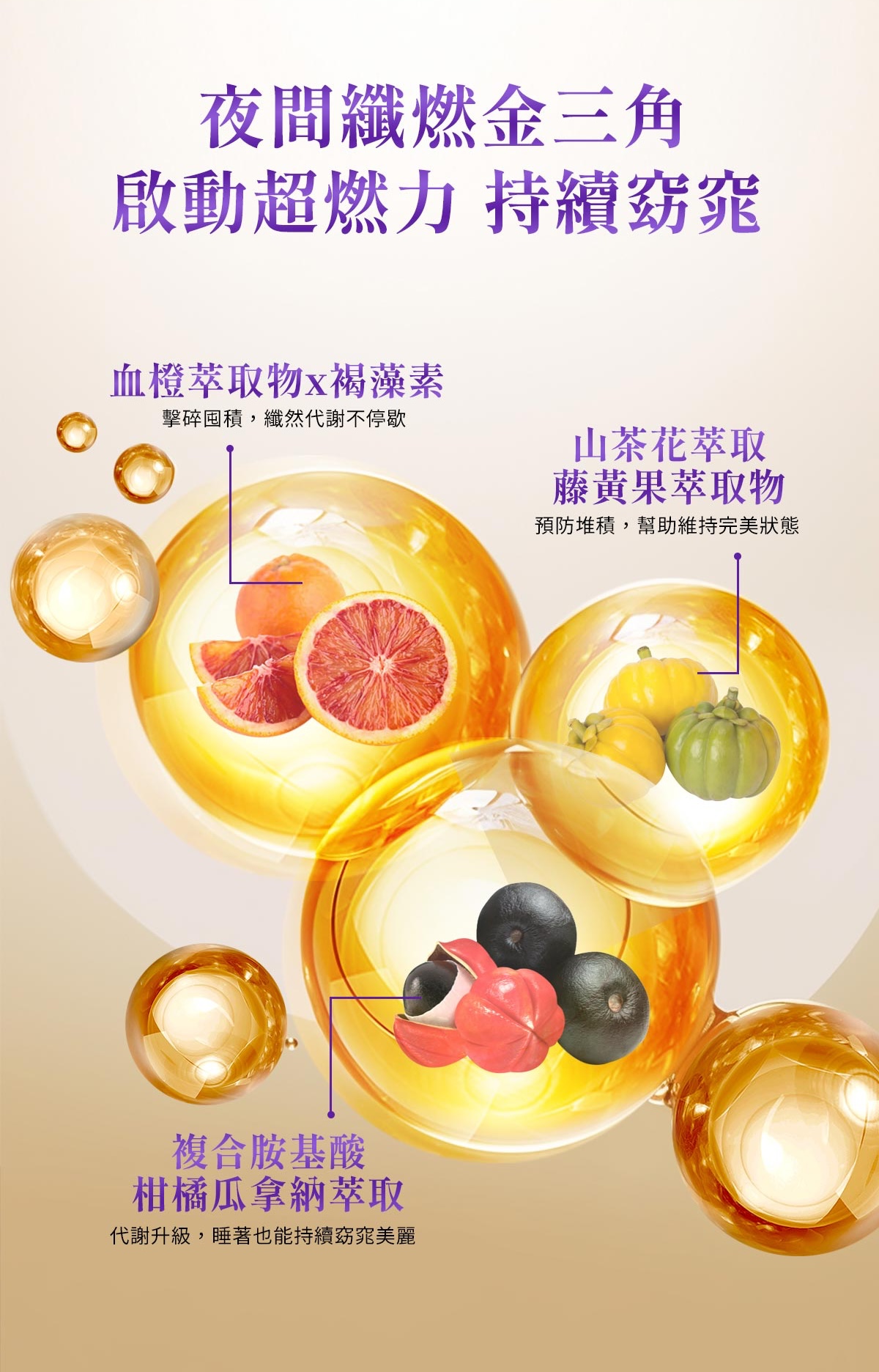 Aicom艾力康 科技燕窩晚安纖姿飲