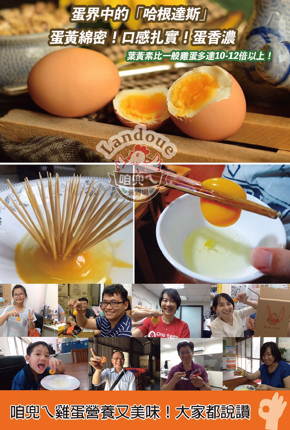 【寶奇】紅殼-金盞花飼養機能蛋＊4盒(10入/盒),U61390001,【寶奇】紅殼-金盞花飼養機能蛋＊4盒(10入/盒),友善飼養,以微生物替代抗生素,葉黃素