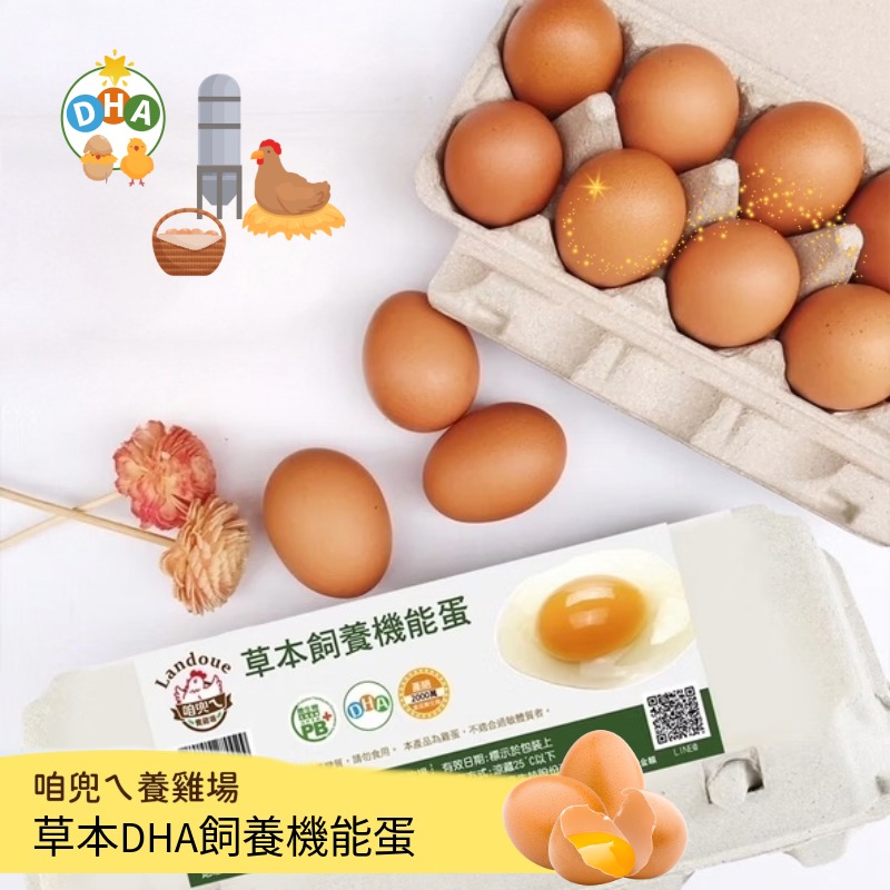 【寶奇】草本DHA飼養機能蛋＊4盒(10入/盒),U61400001,【寶奇】草本DHA飼養機能蛋＊4盒(10入/盒),飼料不添加動物性蛋白質,友善飼養,含DHA