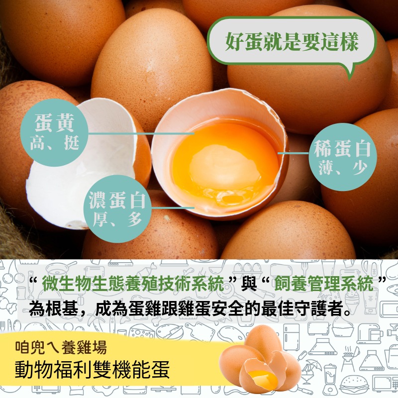 【寶奇】動物福利雙機能蛋＊4盒(10入/盒),U61410001,【寶奇】動物福利雙機能蛋＊4盒(10入/盒),含DHA,以微生物替代抗生素,葉黃素