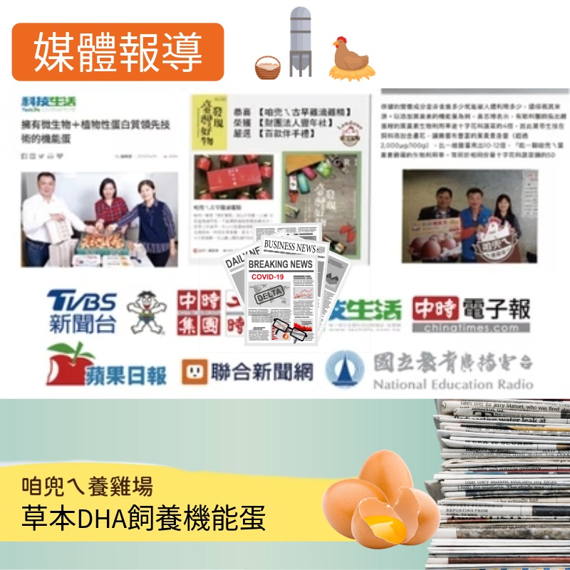 【寶奇】草本DHA飼養機能蛋＊4盒(10入/盒),U61400001,【寶奇】草本DHA飼養機能蛋＊4盒(10入/盒),飼料不添加動物性蛋白質,友善飼養,含DHA
