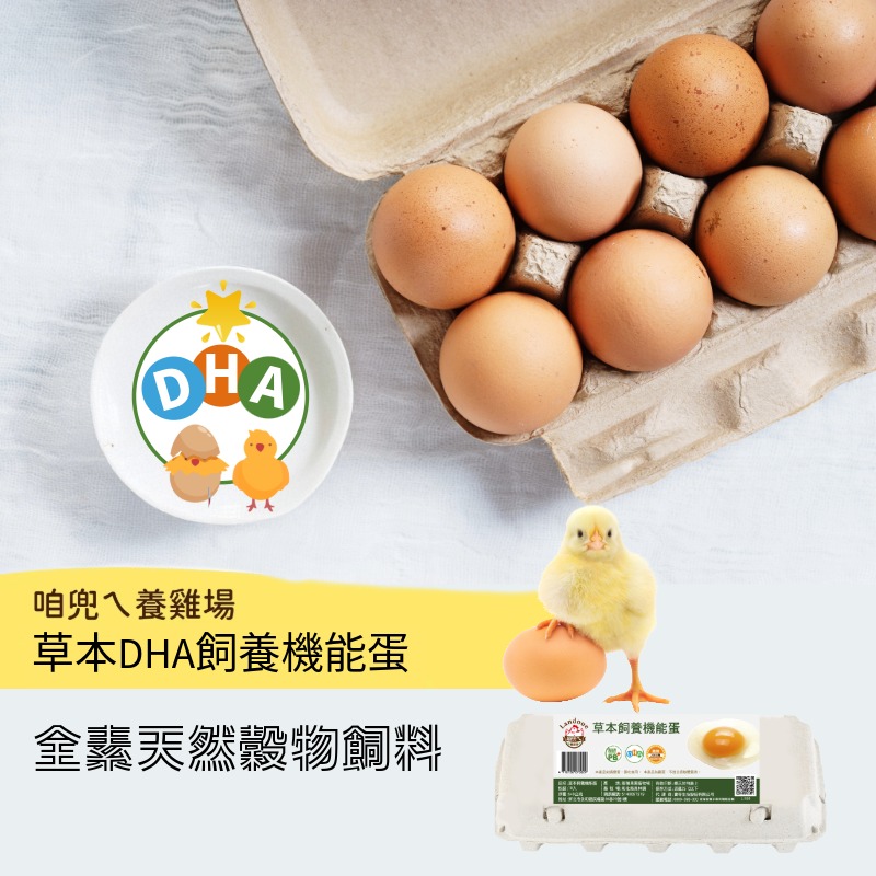 【寶奇】草本DHA飼養機能蛋＊4盒(10入/盒)