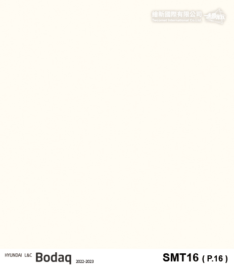 【超啞光】BODAQ-SMT16