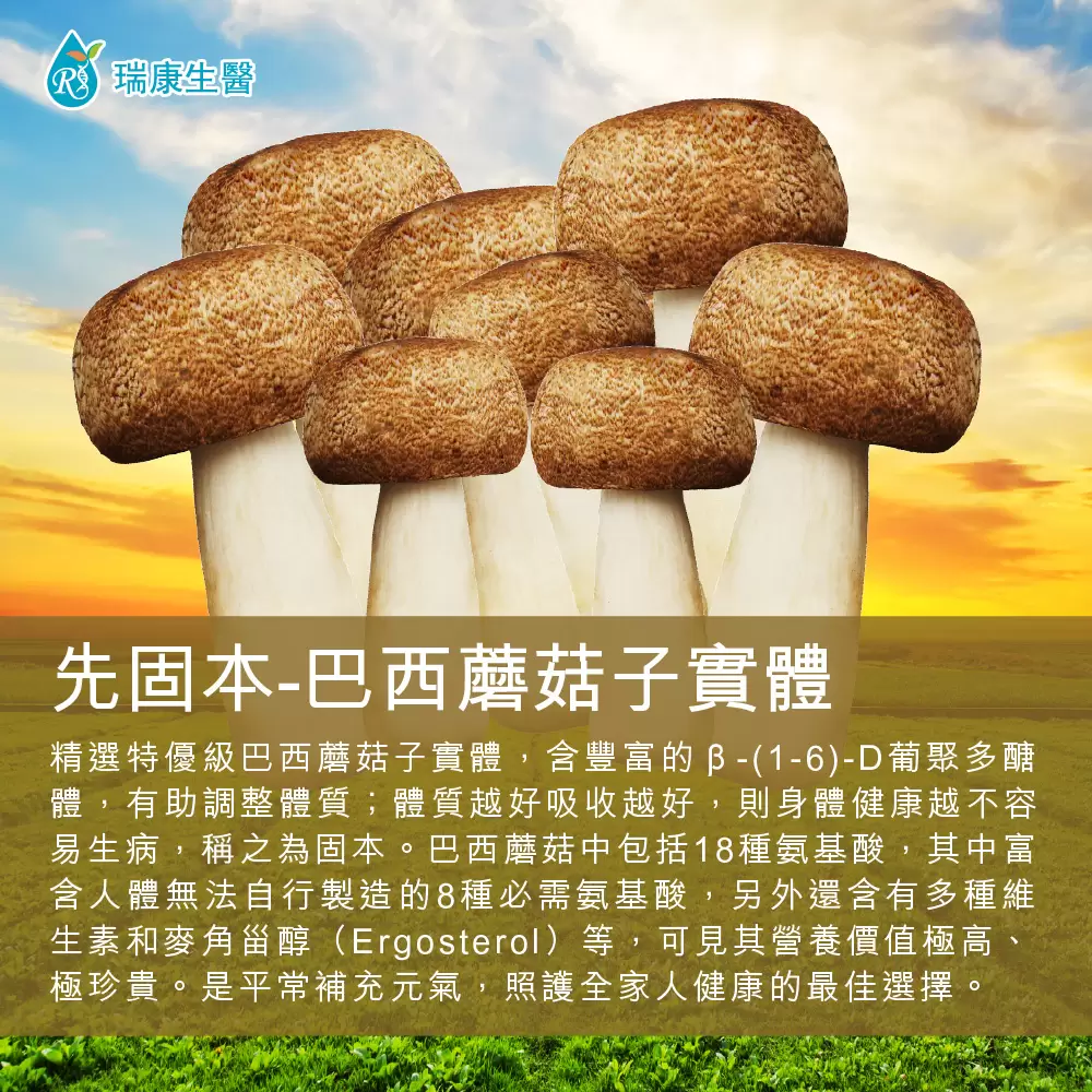 台灣巴西蘑菇(姬松茸)乾菇40g-共12盒