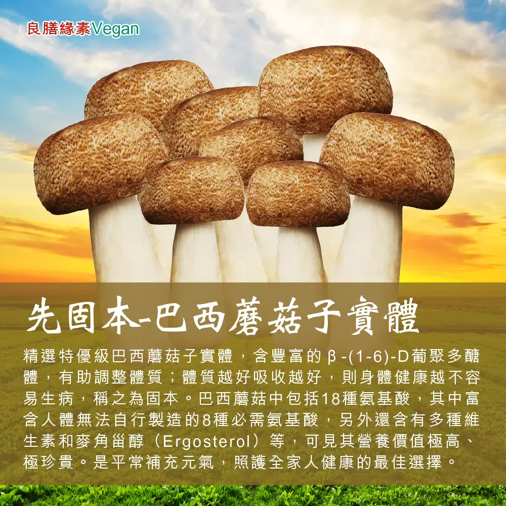特級台灣巴西蘑菇(姬松茸)乾菇200g/罐
