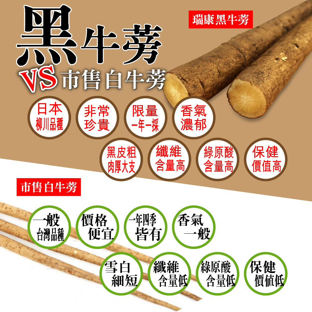 高纖黑牛蒡茶10入/盒-共12盒