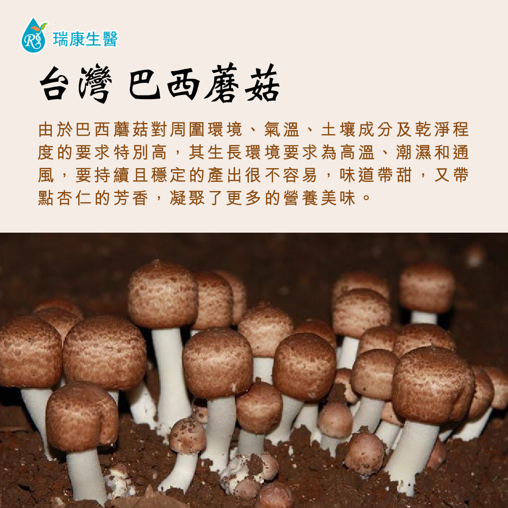 特級-台灣巴西蘑菇乾菇-冷凍乾燥技術-80g/包