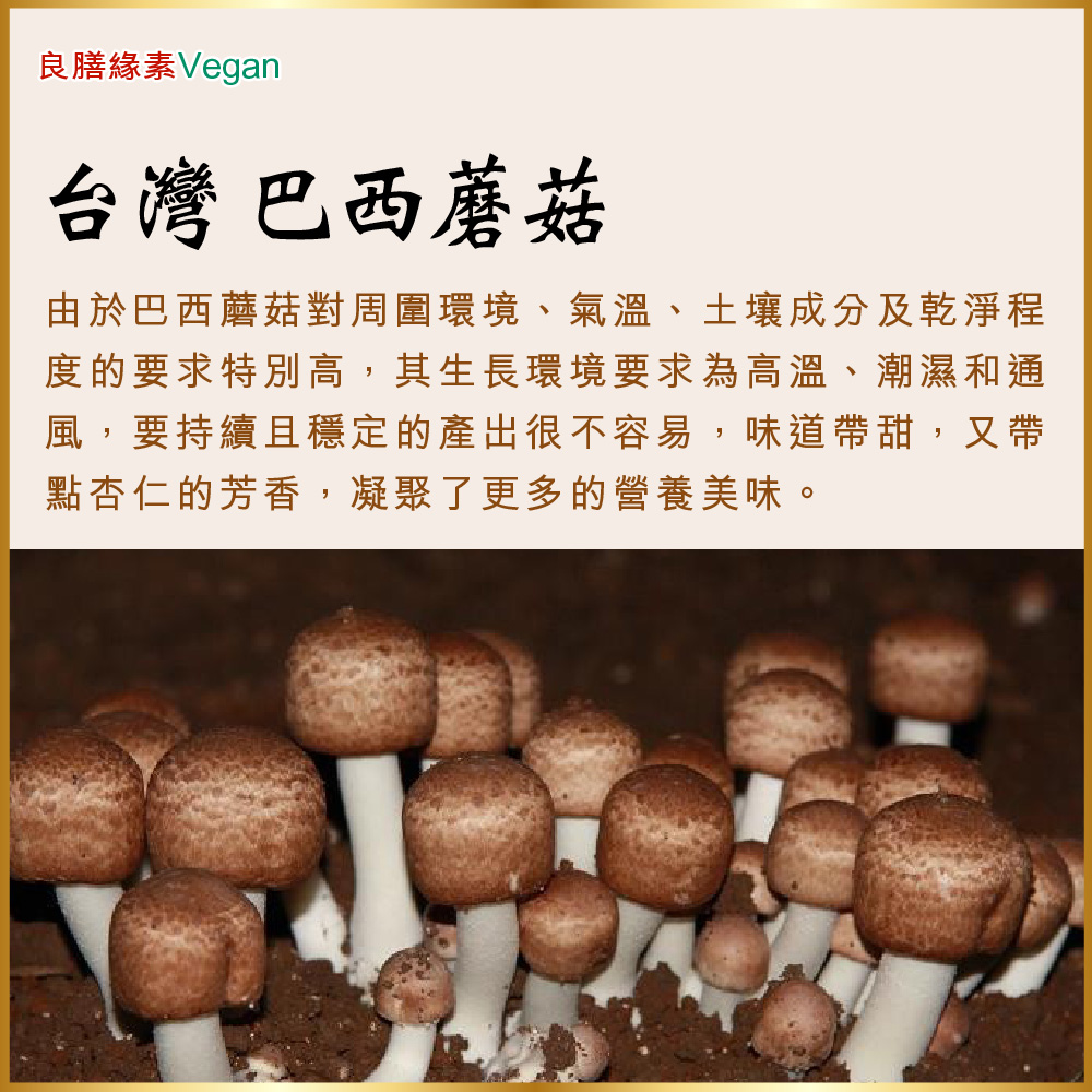 台灣巴西蘑菇(姬松茸)乾菇120克(家庭號)