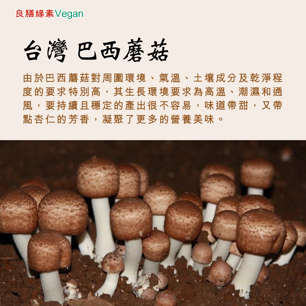 特級台灣巴西蘑菇(姬松茸)乾菇200g-共12罐