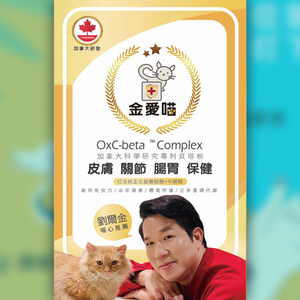 劉爾金_金愛貓