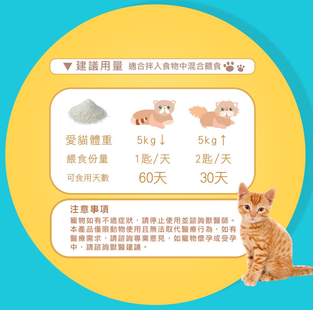 劉爾金_金愛貓