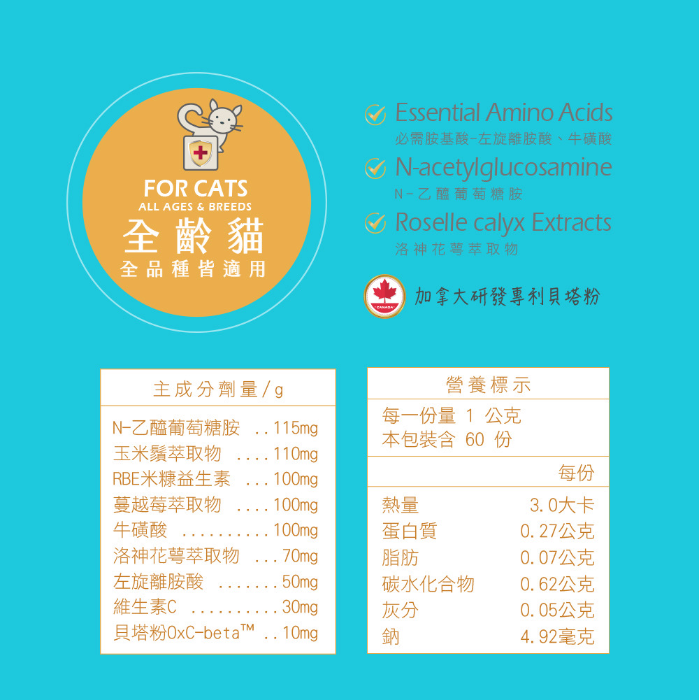 劉爾金_金愛貓