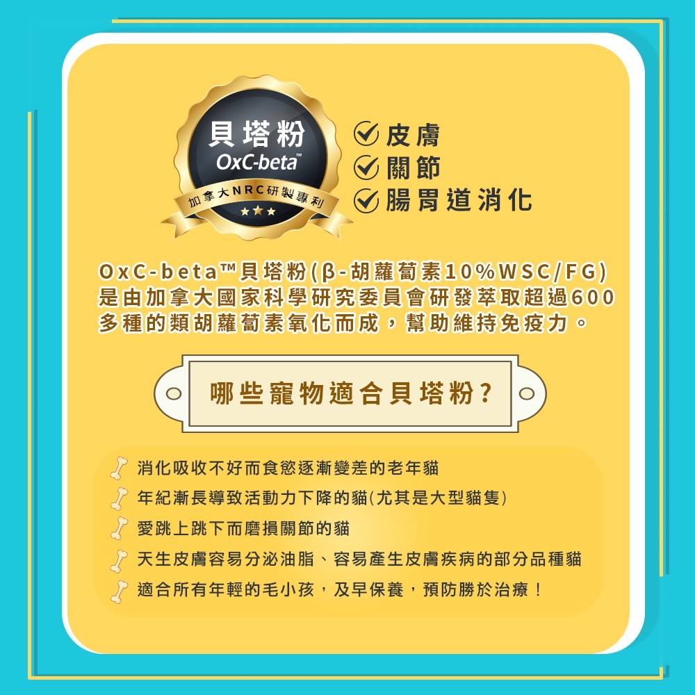 劉爾金_金愛貓