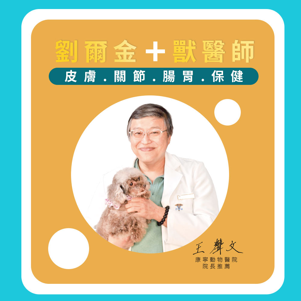 劉爾金_金愛貓