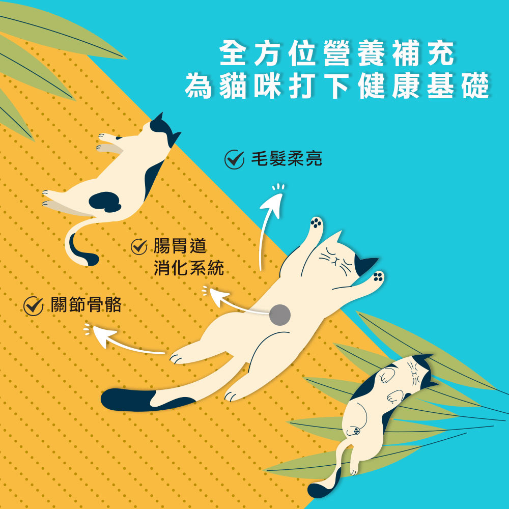 劉爾金_金愛貓