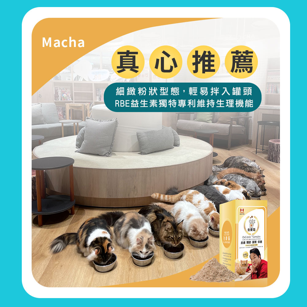 劉爾金_金愛貓