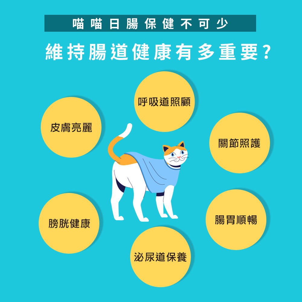 劉爾金_金愛貓