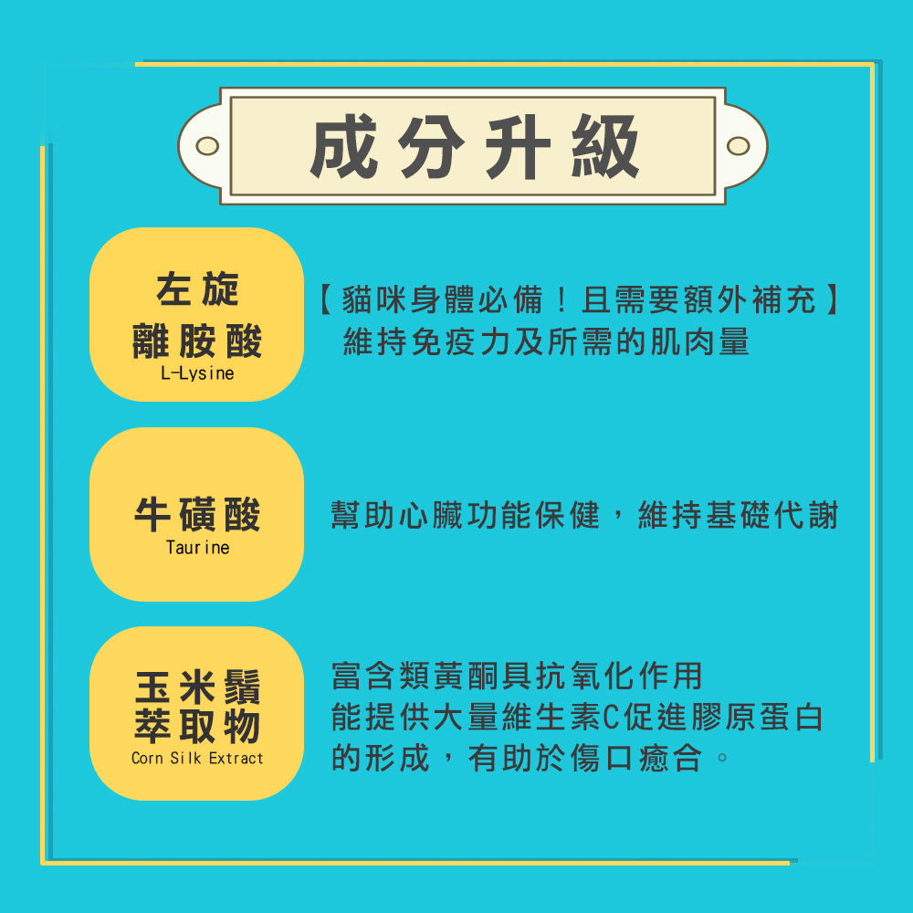 劉爾金_金愛貓