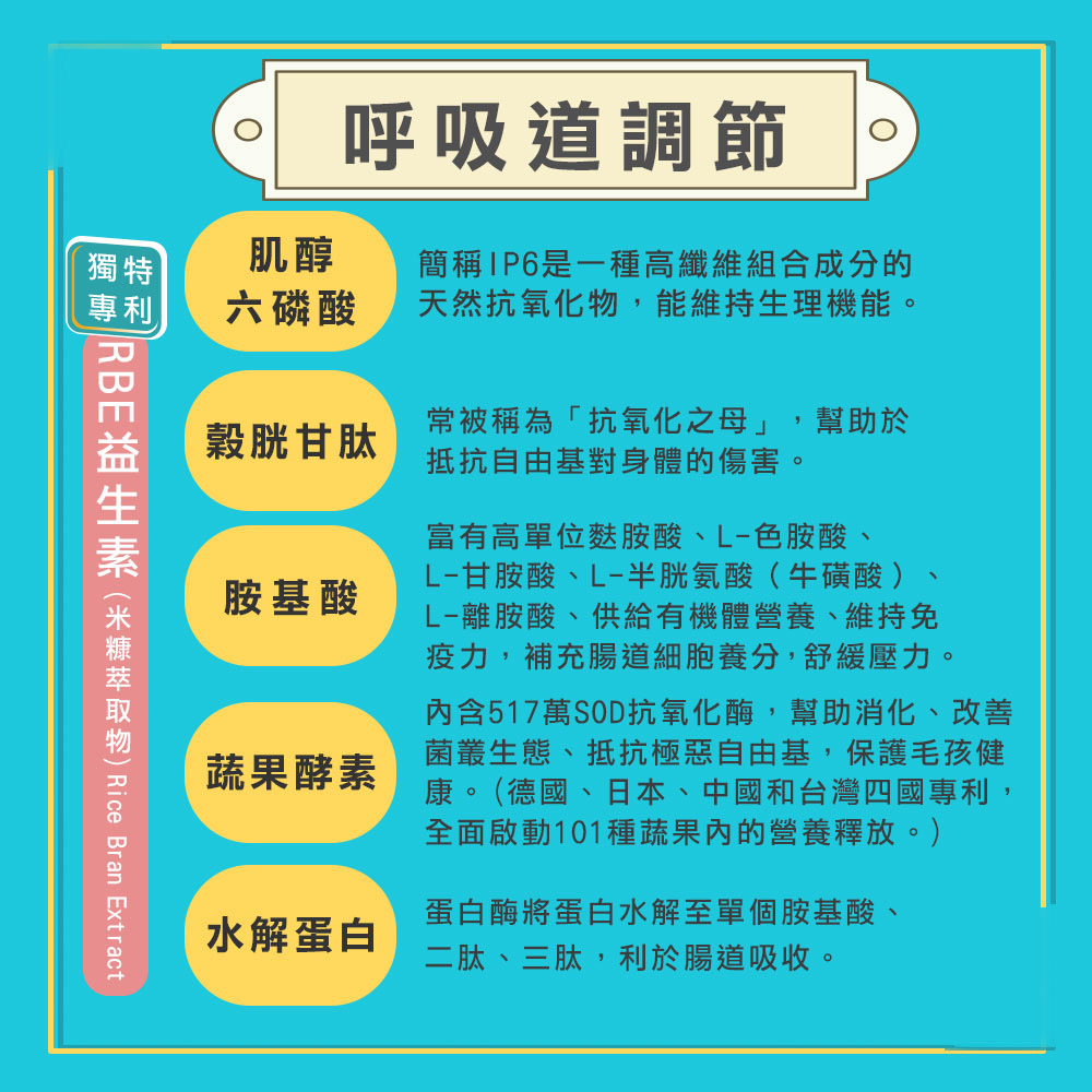 劉爾金_金愛貓