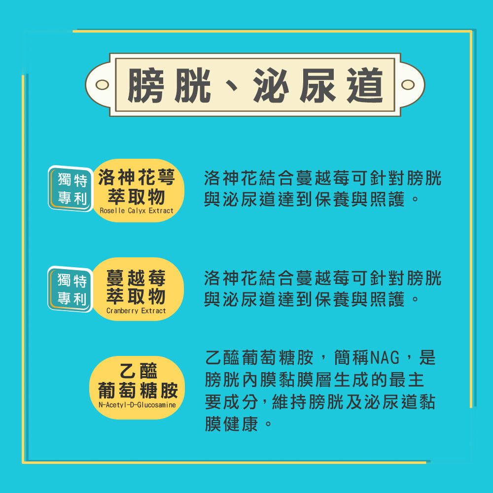 劉爾金_金愛貓