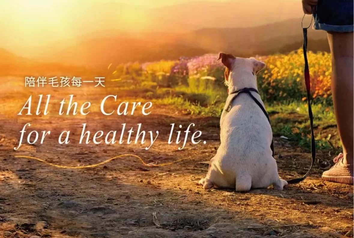 海陸鮮鋪&TREAT TIME 100%天然原肉零食凍乾