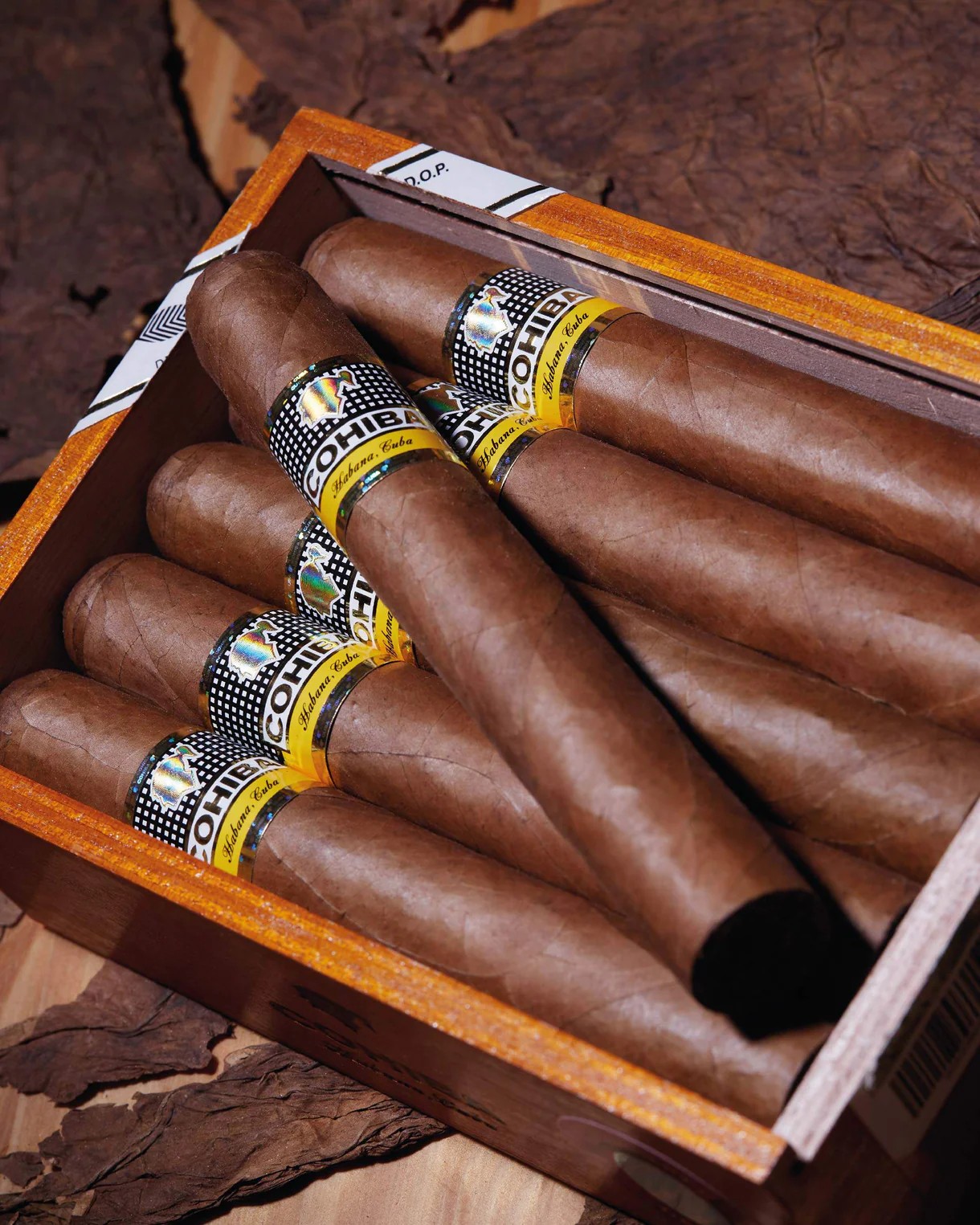 | Cohiba 高希霸 | 世紀六號 Siglo VI