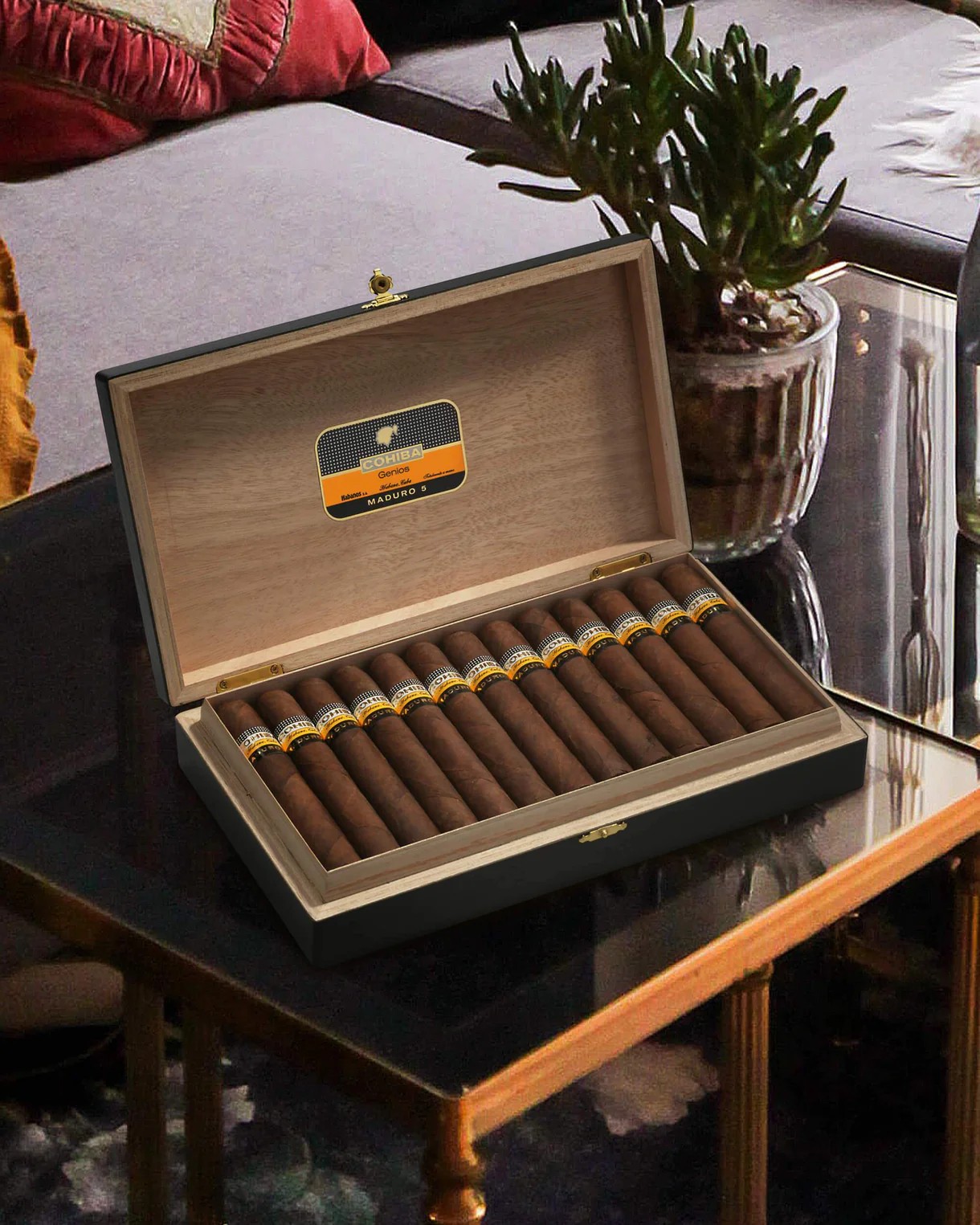 | Cohiba 高希霸 |  天才馬杜羅5號 Genios Maduro 5