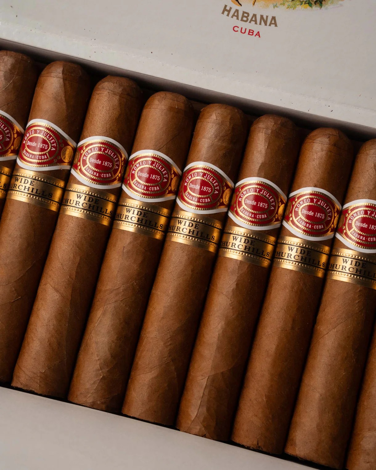 | 羅密歐與茱麗葉Romeo y Julieta | 寬邱吉爾 Wide Churchills