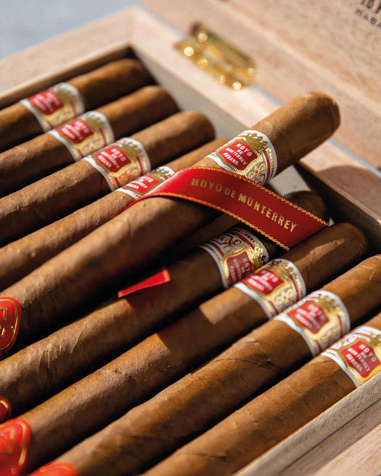 | Hoyo De Monterrey 好友 |  Primaveras Year of the Ox 2021 牛年限量版