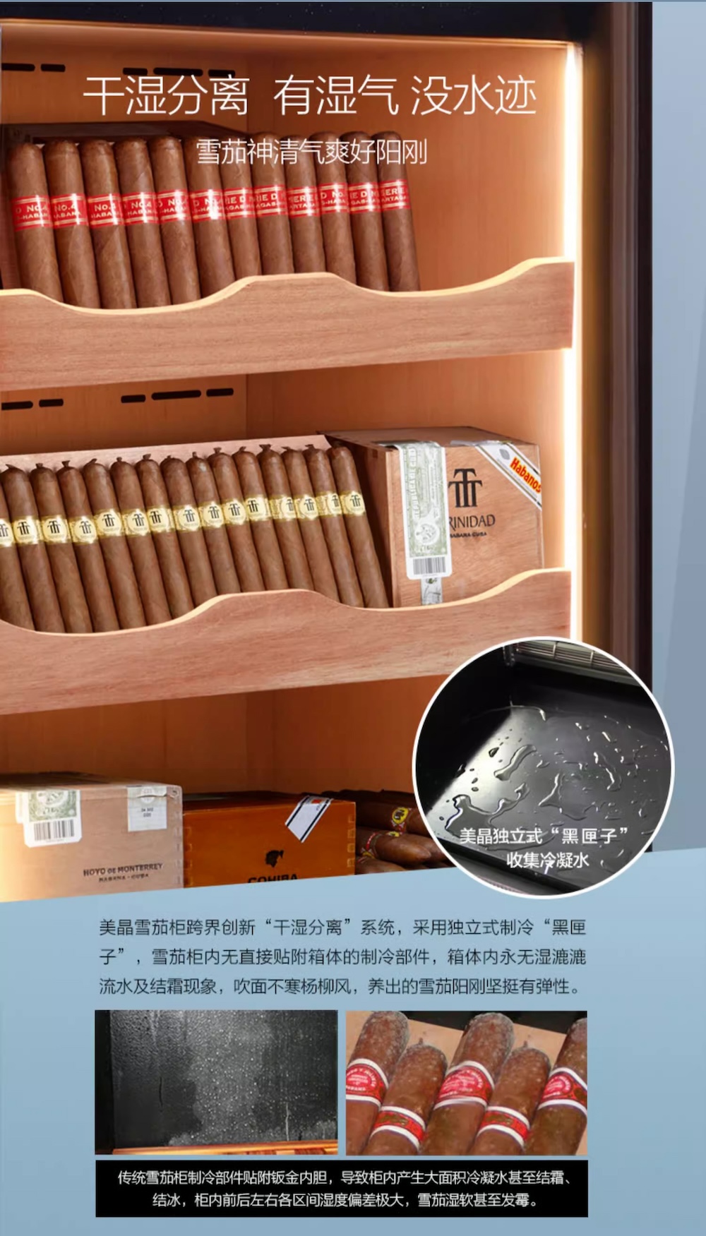 「Lubinski 台灣官方總代理」Raching 美晶 恆溫恆濕雪松木雪茄櫃 C150A｜Capadura｜