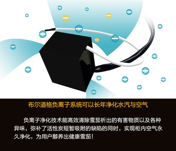 「Lubinski 台灣官方總代理」布爾道格德國 恆溫恆濕變頻 雪松木雪茄櫃 ｜Capadura｜