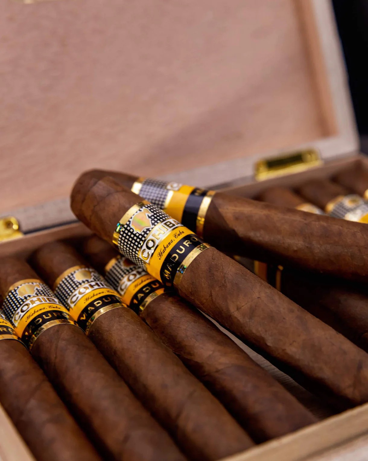 | Cohiba 高希霸 |  天才馬杜羅5號 Genios Maduro 5