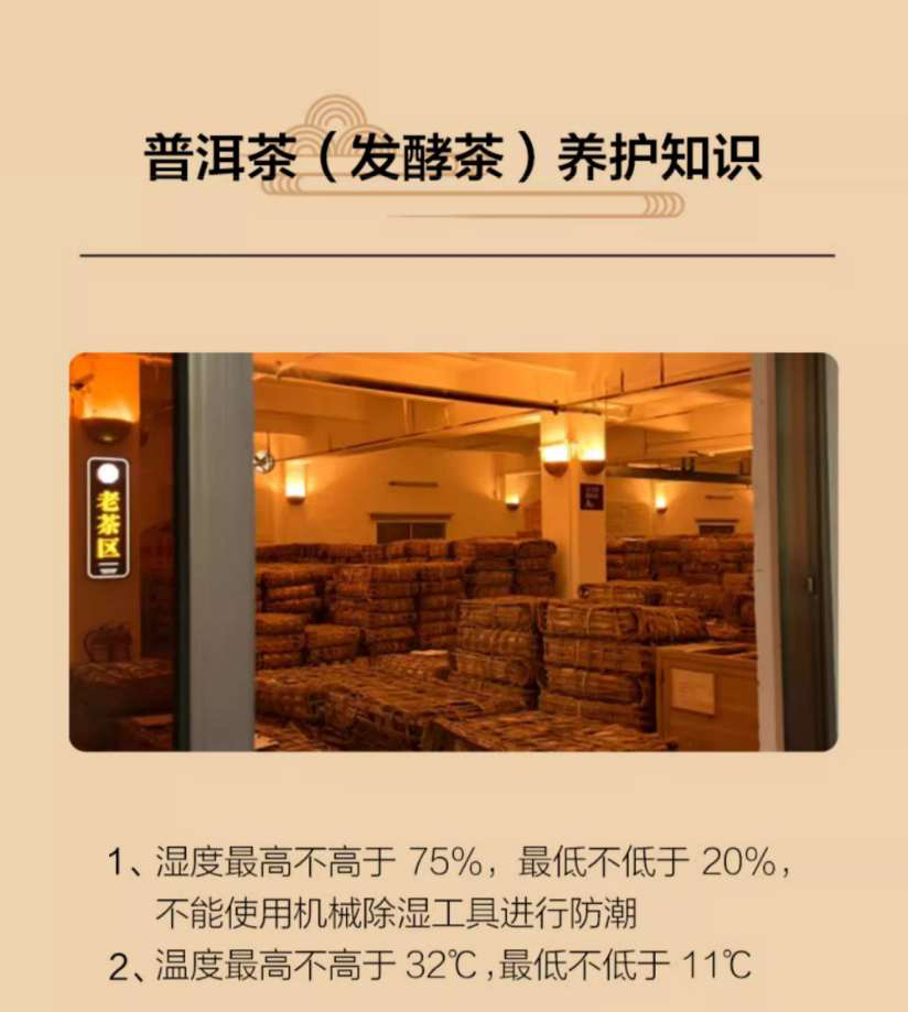 「Lubinski 台灣官方總代理」Raching 美晶茶葉櫃 恆溫恆濕 生熟普洱專用｜Capadura｜