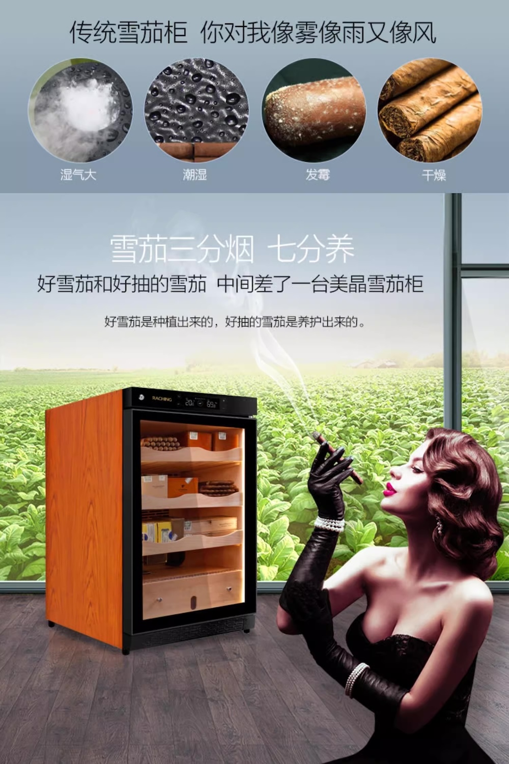 「Lubinski 台灣官方總代理」Raching 美晶 恆溫恆濕雪松木雪茄櫃 C150A｜Capadura｜