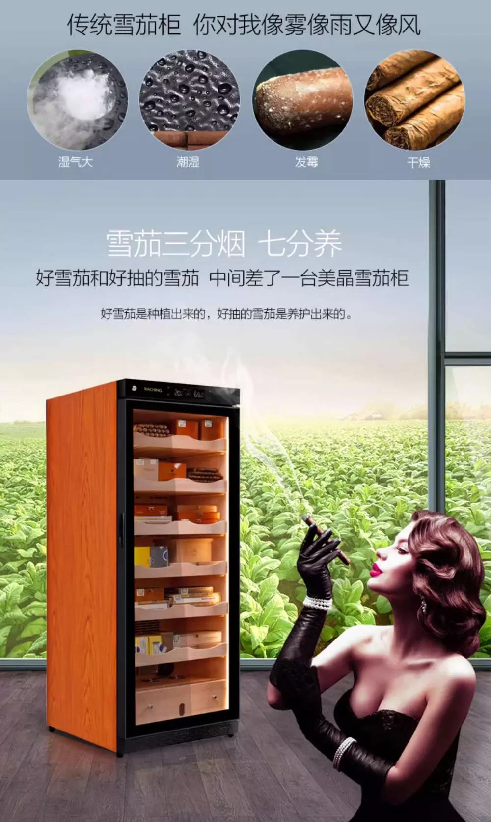 「Lubinski 台灣官方總代理」Raching 美晶 裸養 C330A 恆溫恆濕雪松實木雪茄櫃｜Capadura｜