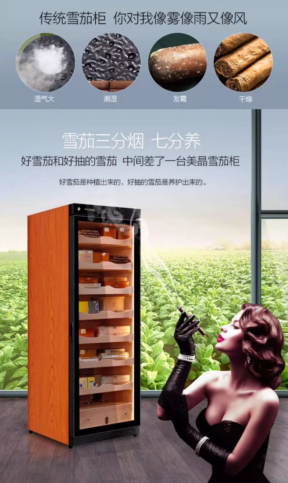「Lubinski 台灣官方總代理」Raching 美晶  C380A 雪松實木家用雪茄盒雪茄櫃｜Capadura｜