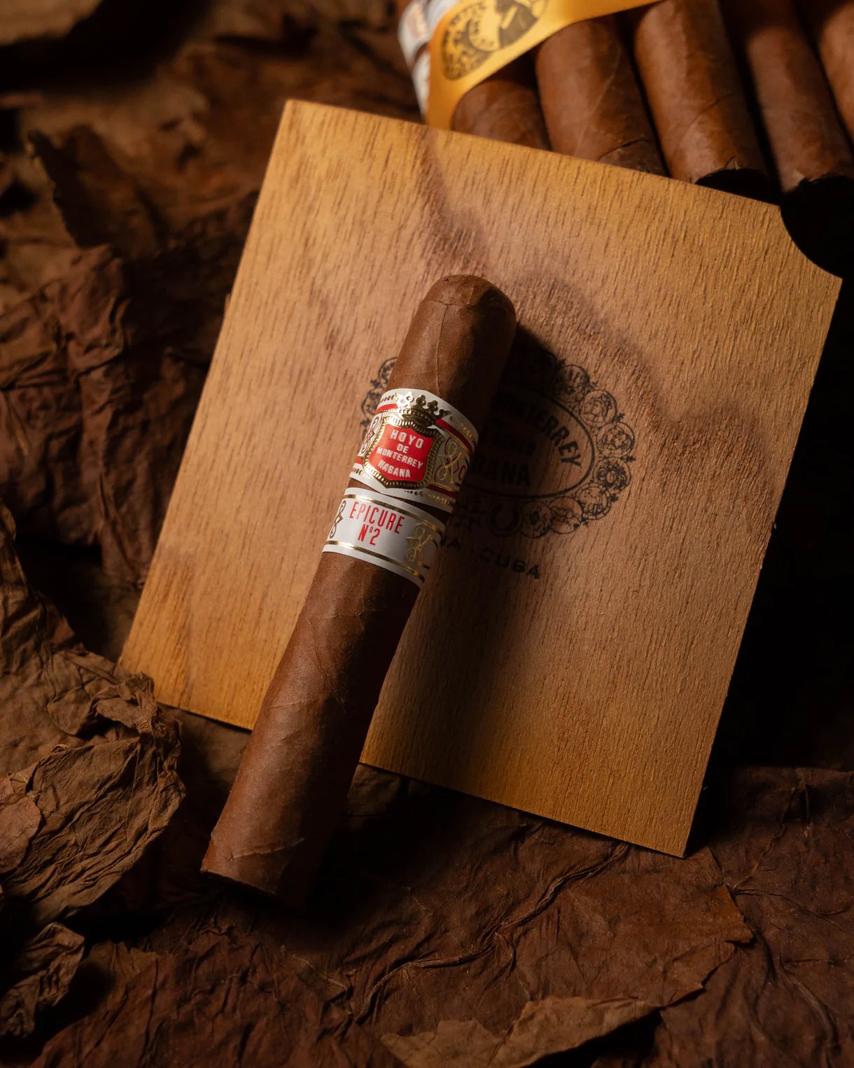 | Hoyo De Monterrey 好友 |  Epicure No. 2 貴族 2 號,請至實體門市選購,Hoyo-EpicureNo2,|HoyoDeMonterrey好友|EpicureNo.2貴族2號,雪茄收藏,|HoyoDeMonterrey|好友