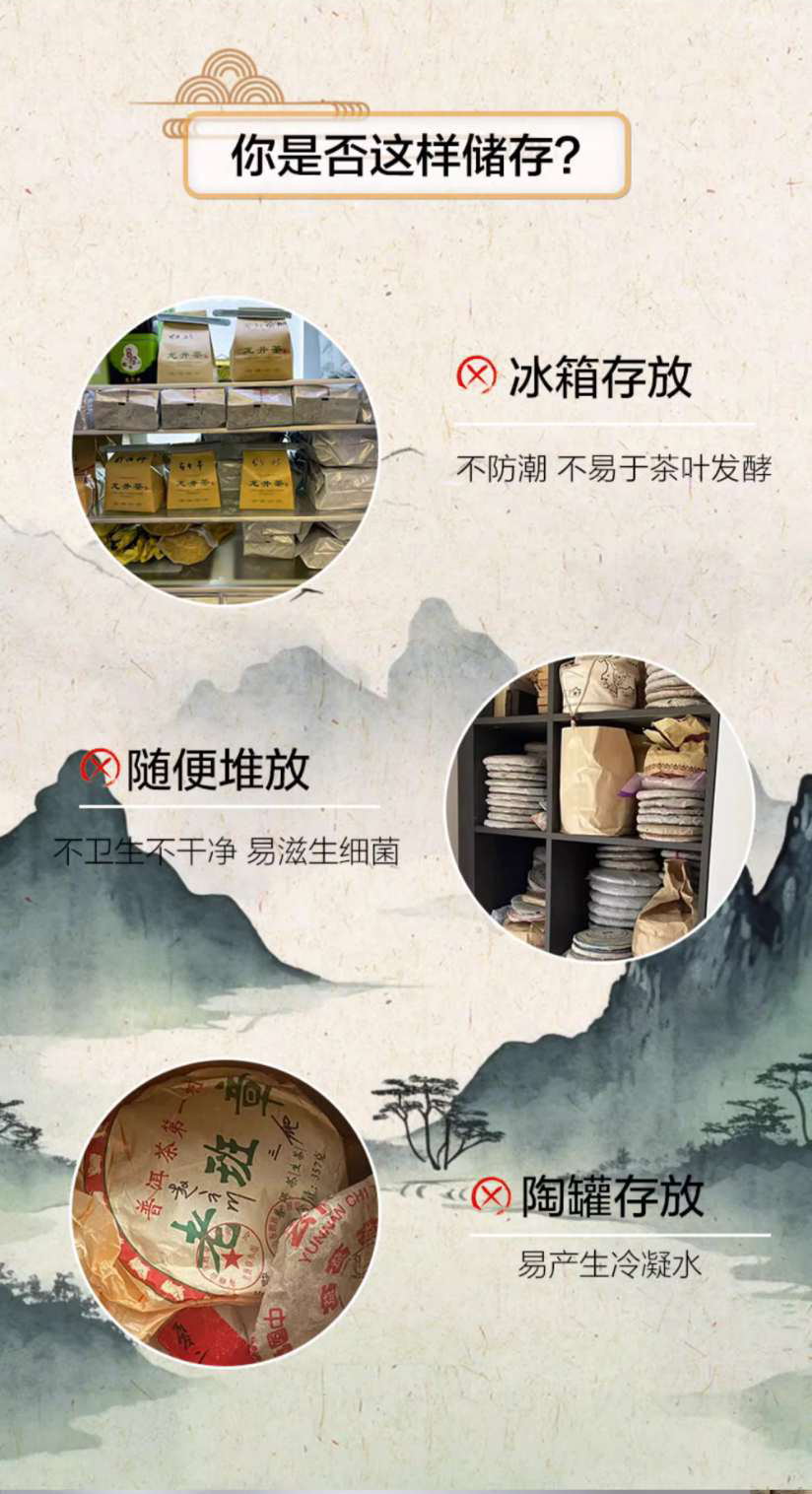「Lubinski 台灣官方總代理」Raching 美晶茶葉櫃 恆溫恆濕 生熟普洱專用｜Capadura｜