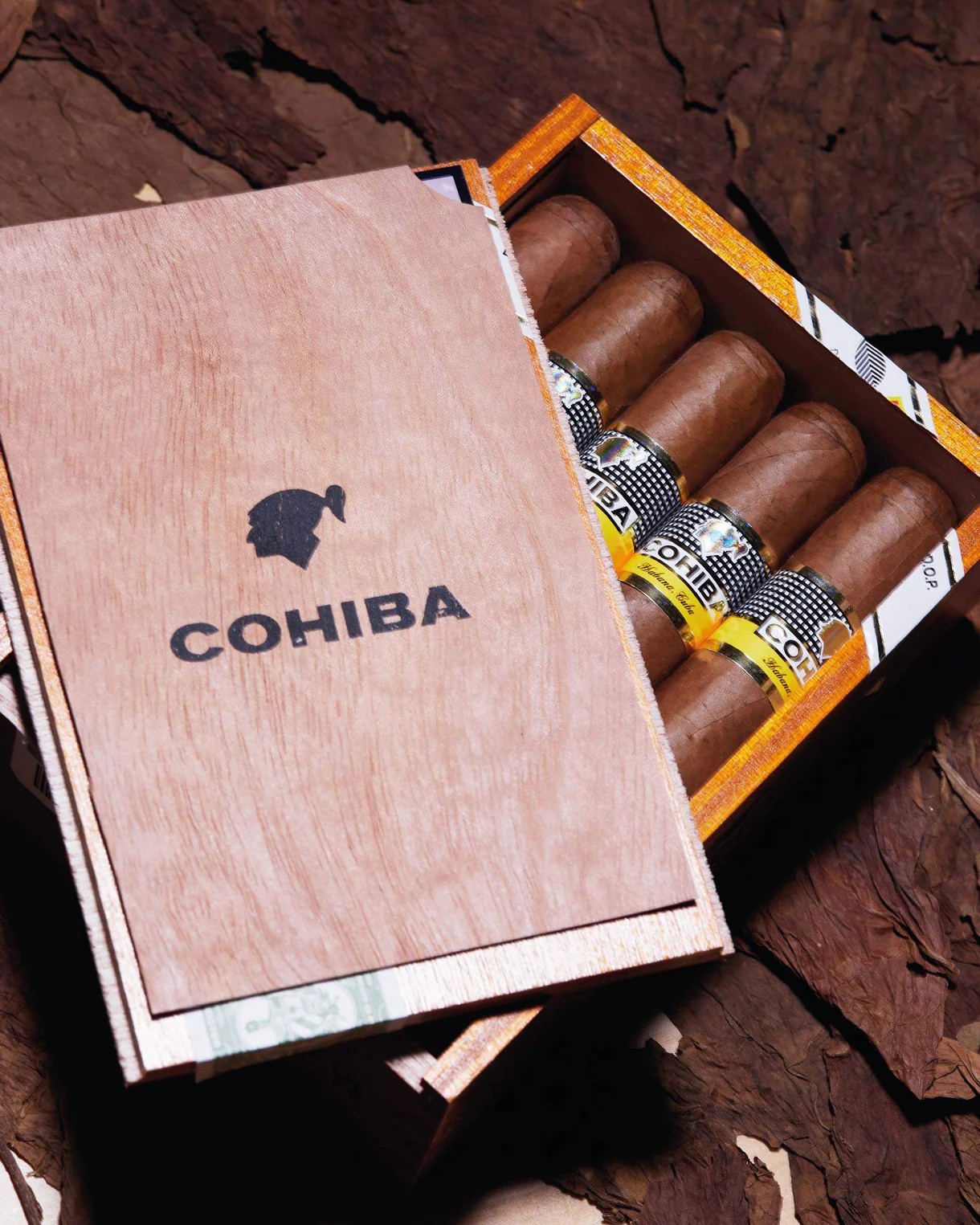 | Cohiba 高希霸 | 世紀六號 Siglo VI