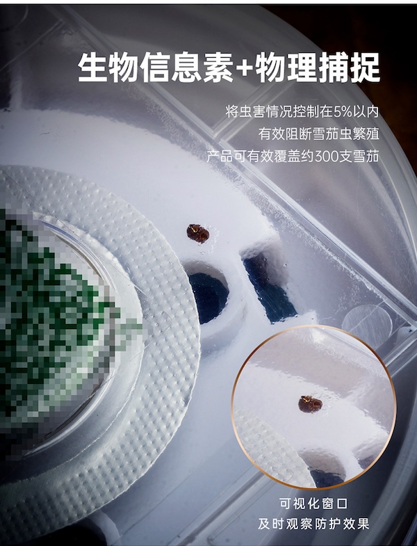 「Lubinski 台灣官方總代理」泰因諾人 雪茄房櫃保濕盒用 煙雪茄蟲誘捕器|Capadura|,雪茄課程,雪茄館,cigar,Capadura,非古雪茄