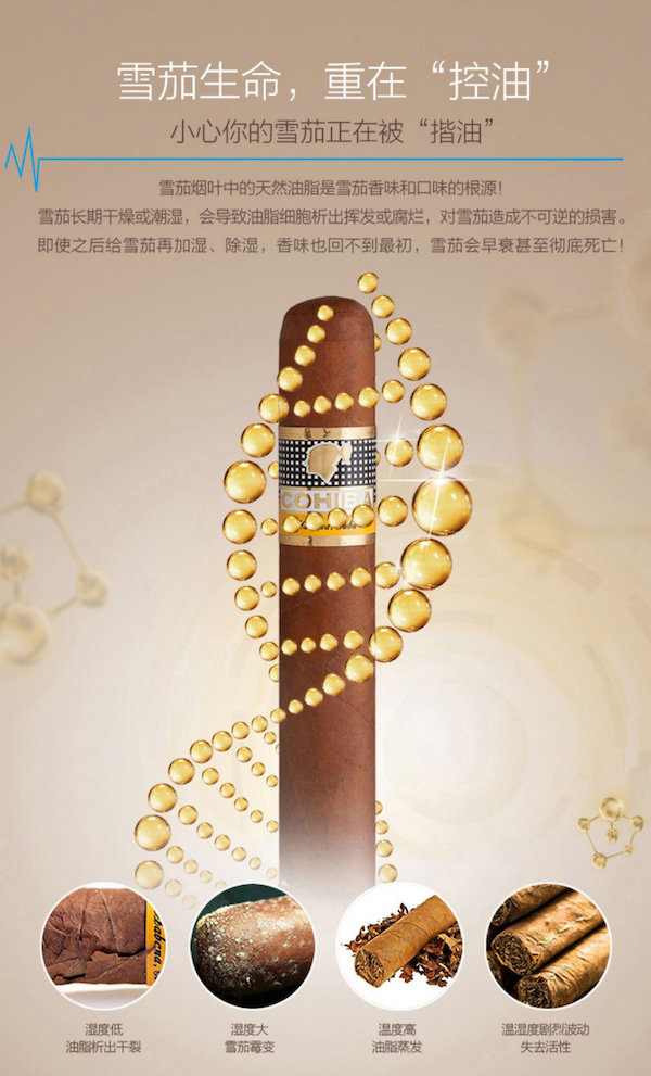 「Lubinski 台灣官方總代理」美晶 水平線系列 高端電子恆溫恆濕雪茄存儲櫃｜Capadura｜