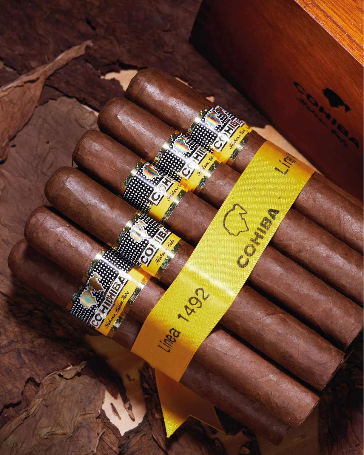 | Cohiba 高希霸 | 世紀六號 Siglo VI