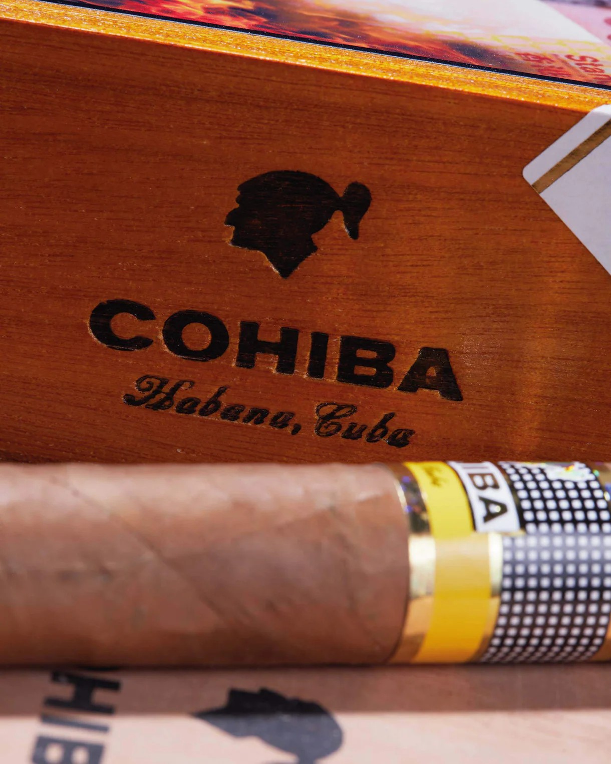 | Cohiba 高希霸 | 世紀六號 Siglo VI