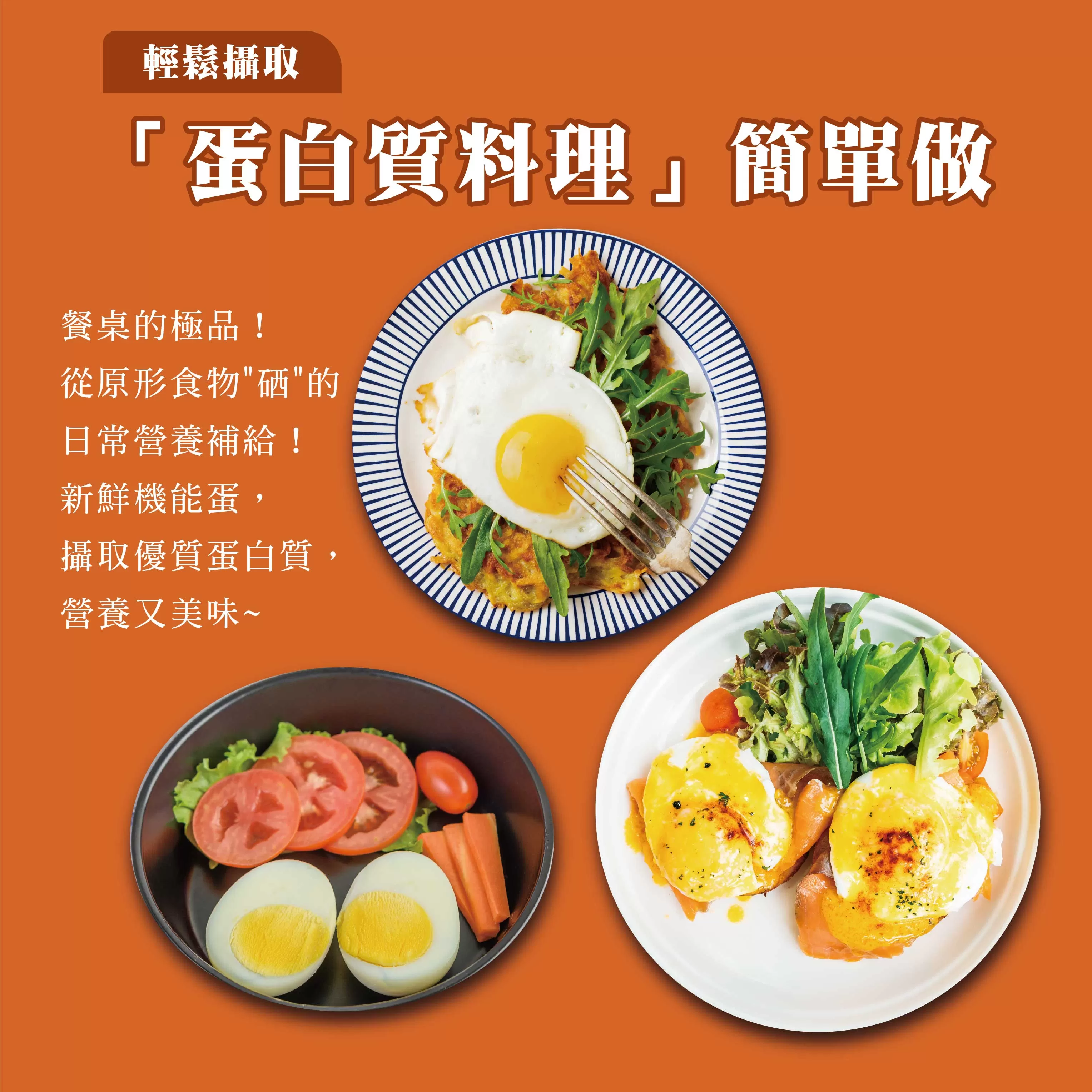 咱兜ㄟ養雞場 星潮有硒蛋/白殼/10入x10盒團購箱(添加專利益生菌 硒含量豐富/雞蛋/平飼)