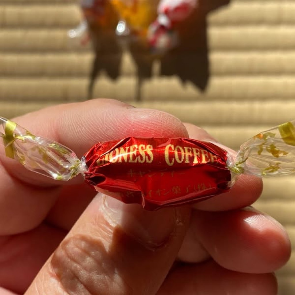 日本Lion獅王經典風味咖啡糖100g