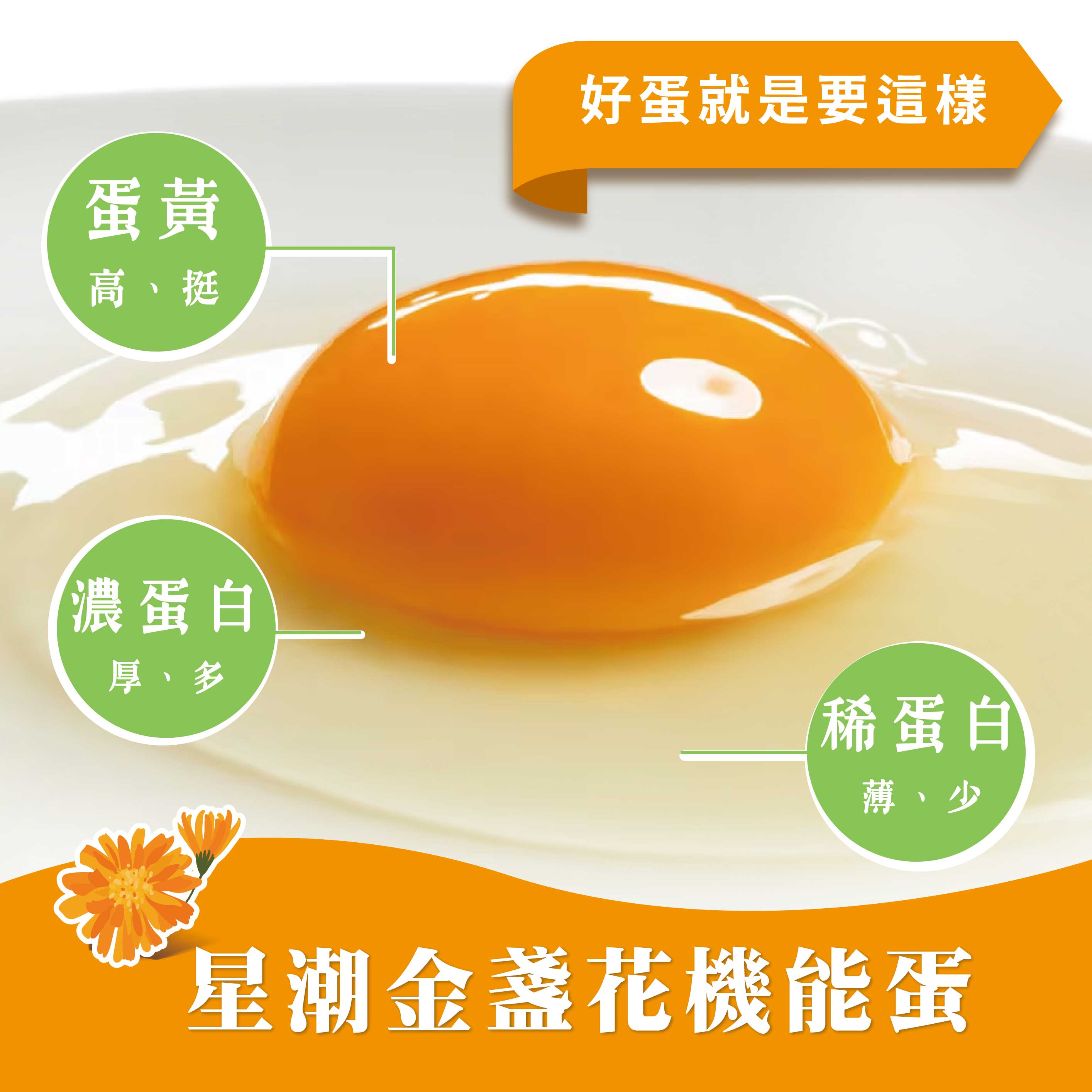 咱兜ㄟ養雞場 星潮金盞花機能蛋/紅殼/10入/x10盒團購箱(台灣首家專門銷售機能蛋專家)