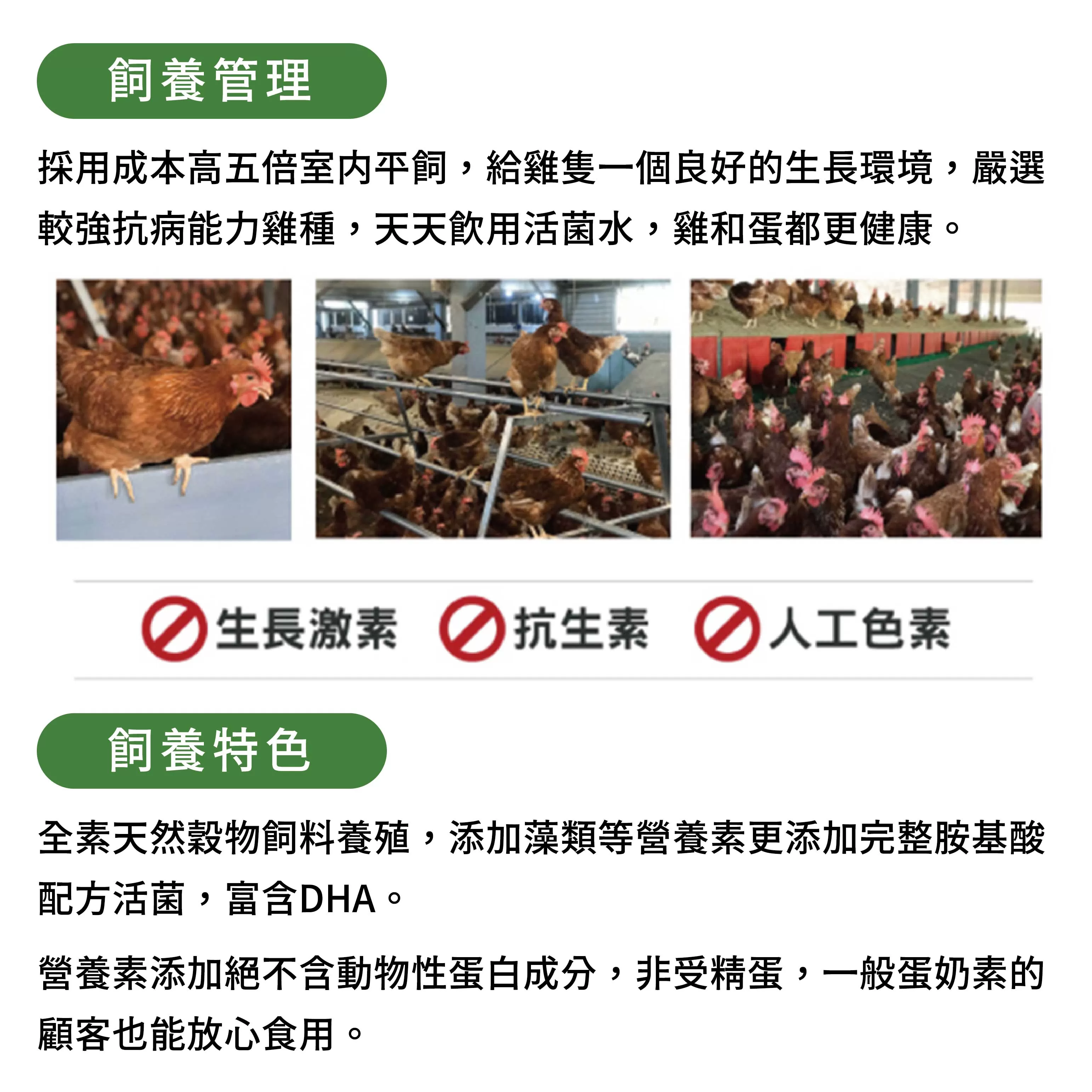 咱兜ㄟ養雞場 星潮DHA草本蛋/紅殼/40入宅配禮盒組(機能蛋專家/平飼/永續農業)