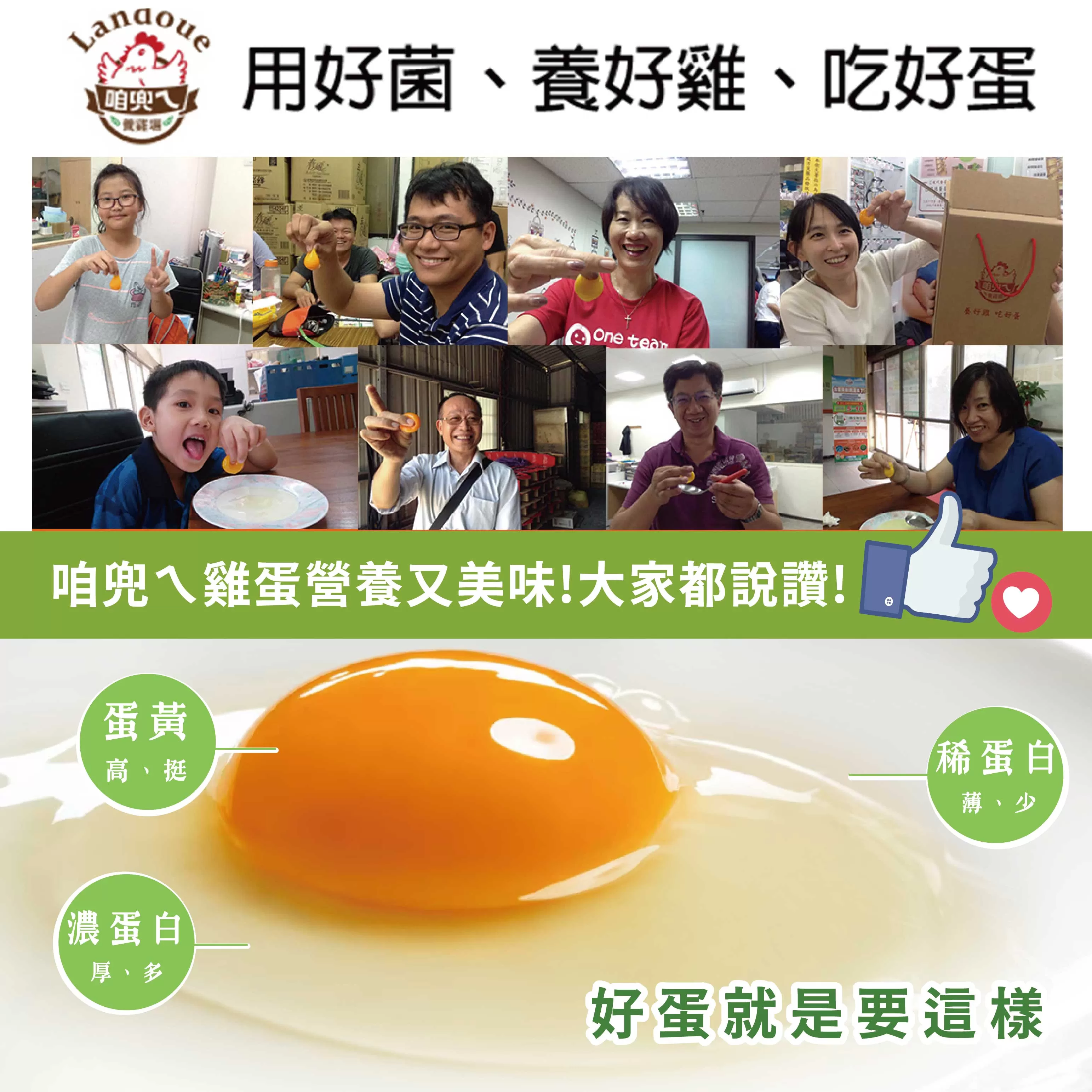 咱兜ㄟ養雞場 星潮DHA草本蛋/紅殼/40入宅配禮盒組(機能蛋專家/平飼/永續農業)