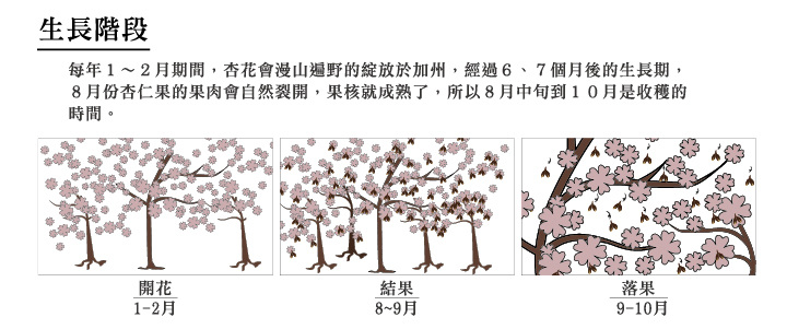 經典杏仁粉（有糖）（300g/提盒） Classic Almond Powder (Sweet)